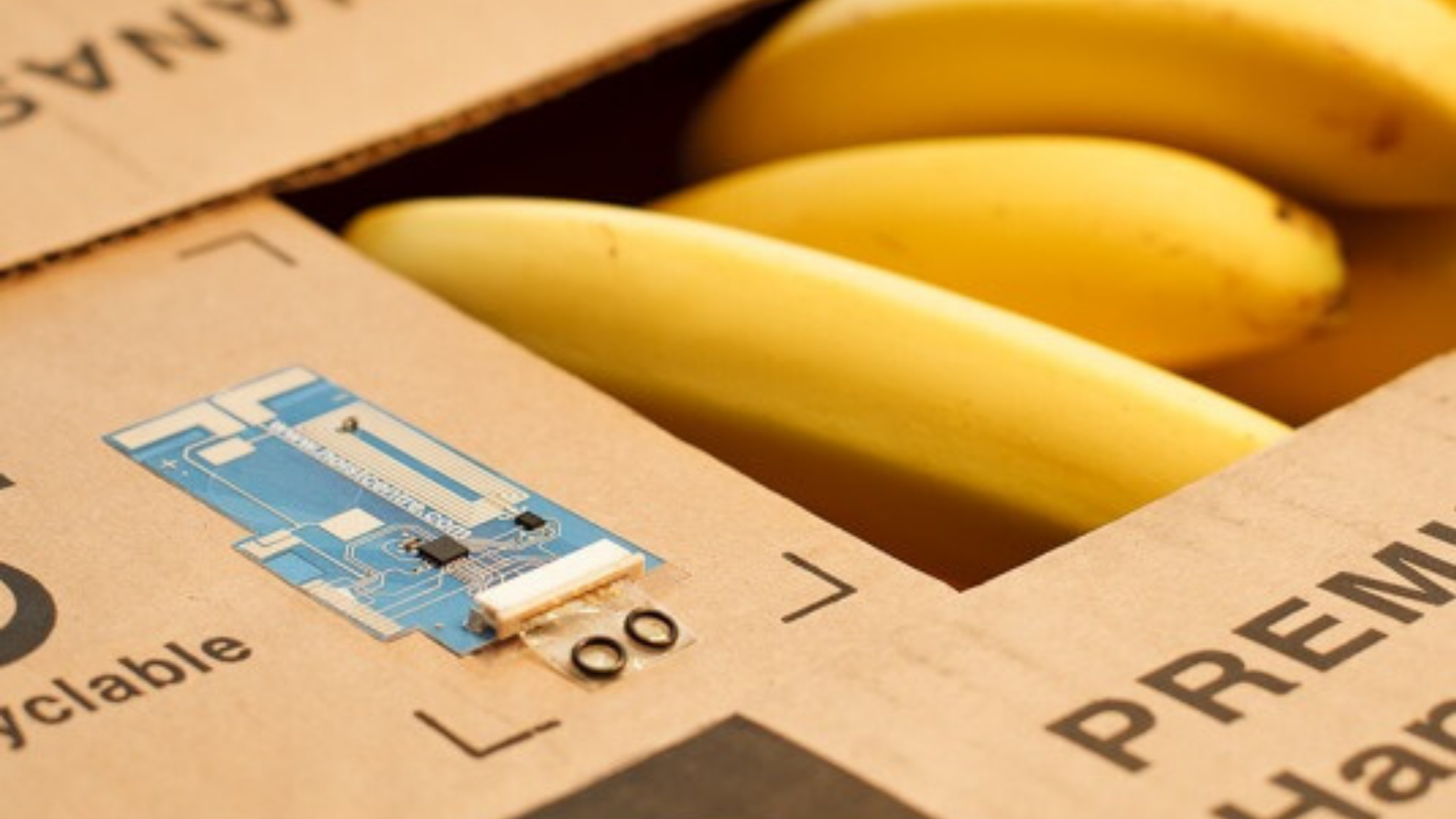 ทีมาของรูป : https://internetofbusiness.com/potential-smart-packaging/?fbclid=IwAR1L-UrNpZF5e_RctZXjy8y1HHRtegG79FhP1W9Rr1yB4t8eH6od8Iw34Og